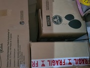 Pallet globo candela 9 pulg surtido x50u